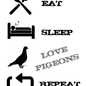 Aufkleber EAT, SLEEP, LOVE PIGEONS, REPEAT