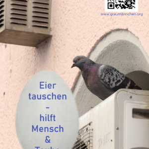 Flyer, Eier tauschen- hilft Mensch und Taube -10er Pack