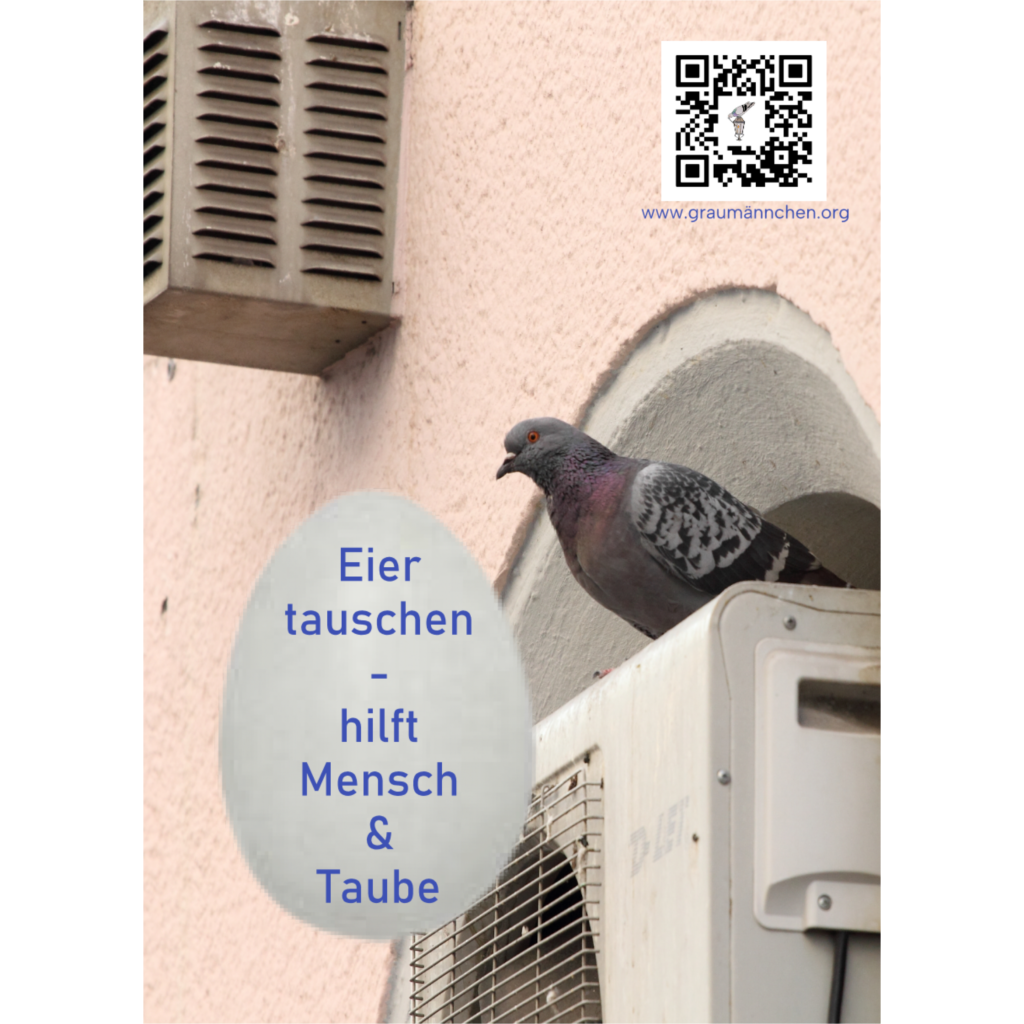 Flyer, Eier tauschen- hilft Mensch und Taube
