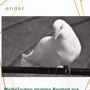 Flyer Leid der Hochzeitstauben -10er Pack