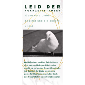Flyer, Leid der Hochzeitstauben